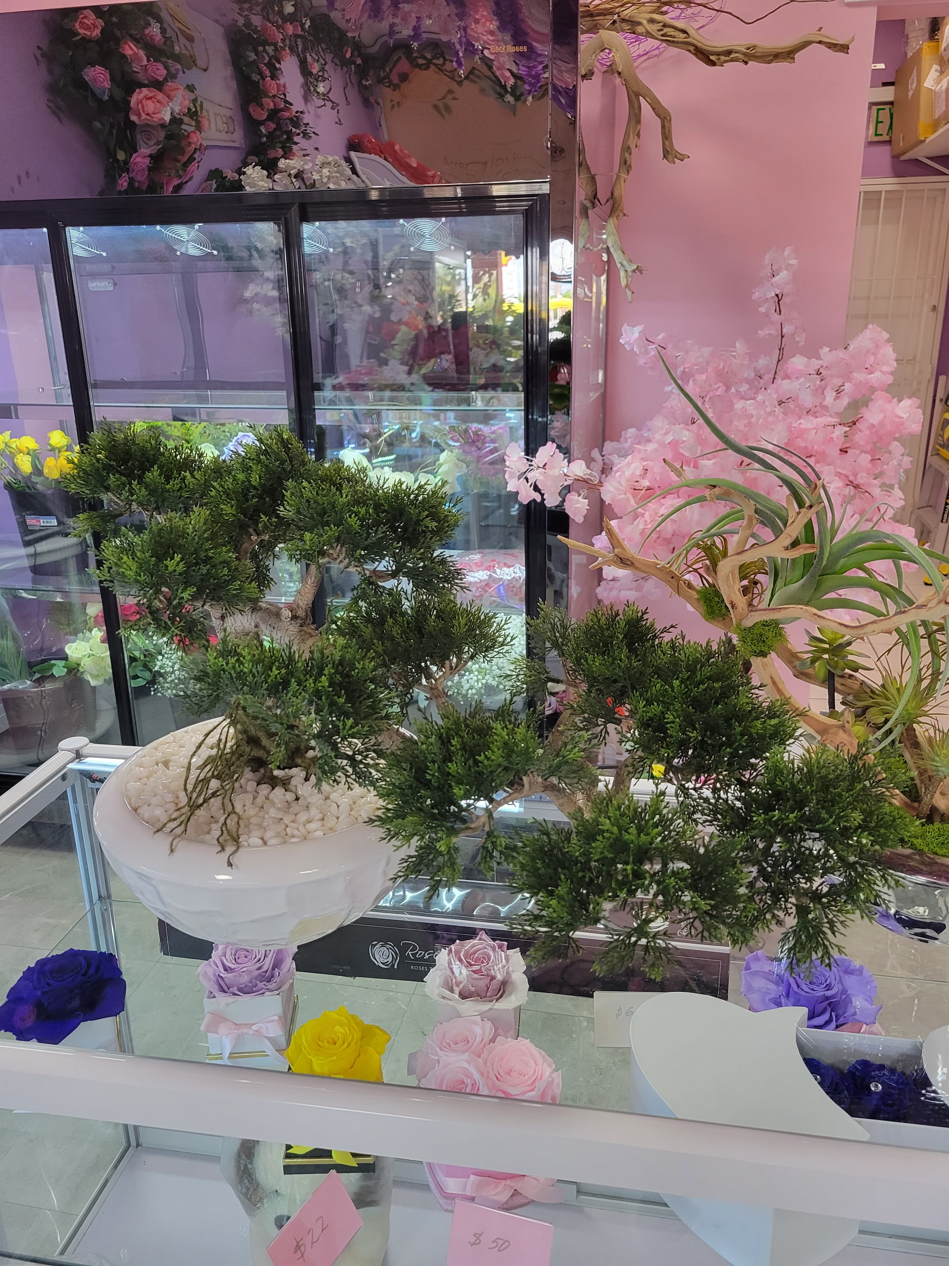 Artificial Bonsai for decoration.