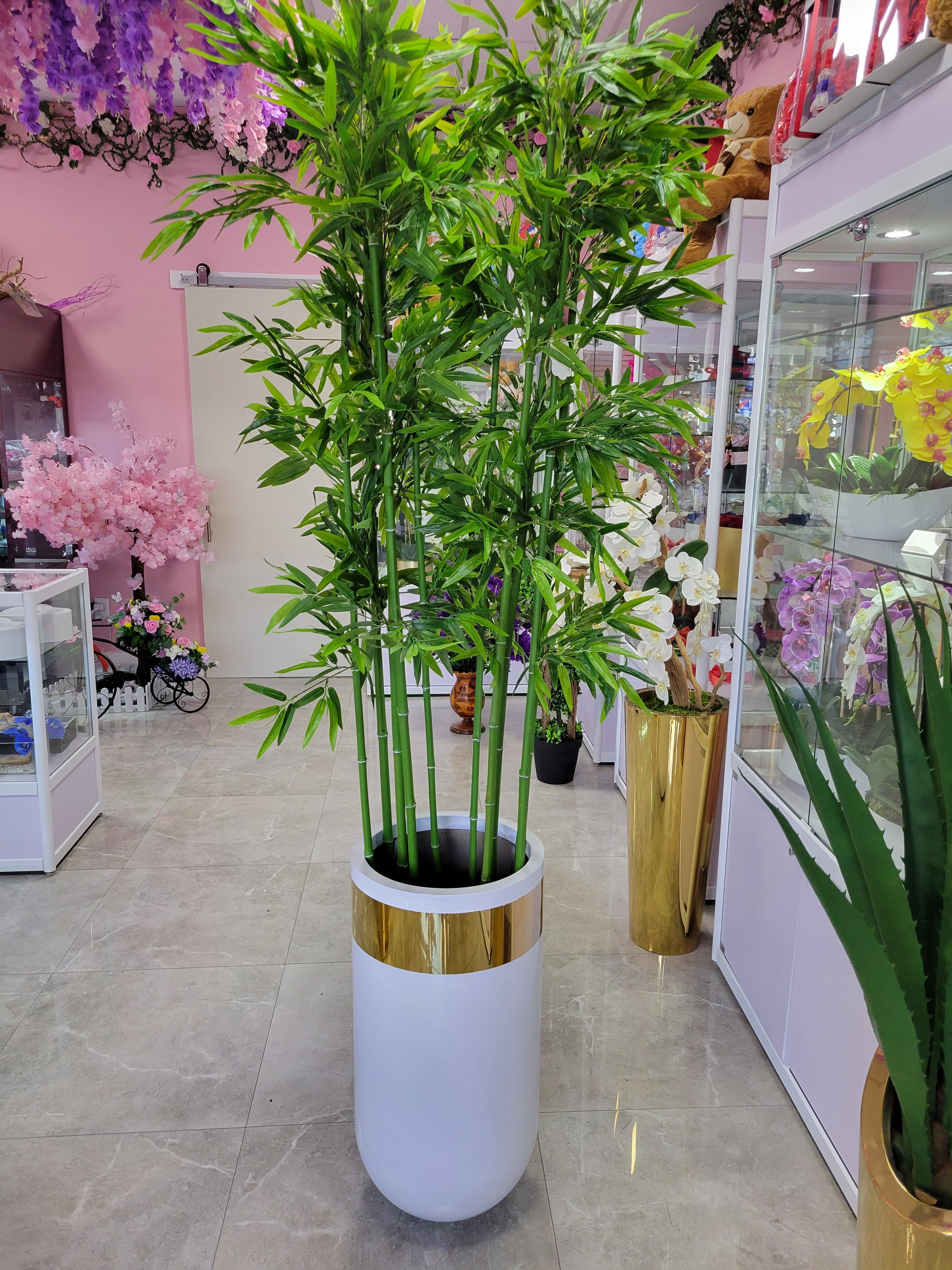 Elegant Bamboo