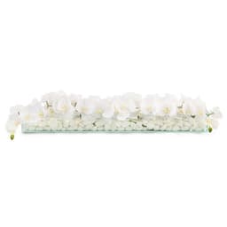 floating-white-orchids.jpg