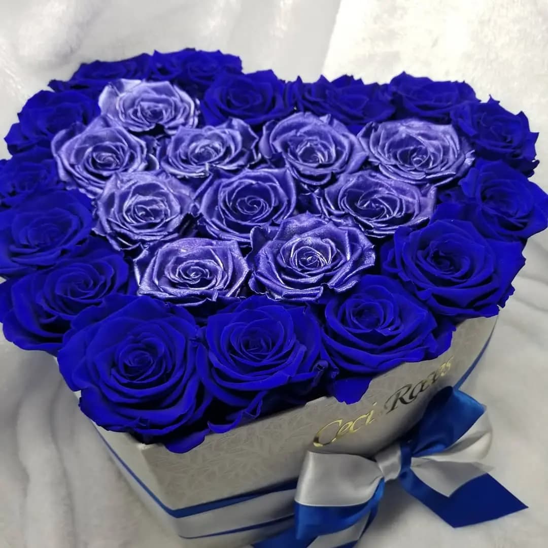 Special  Heart