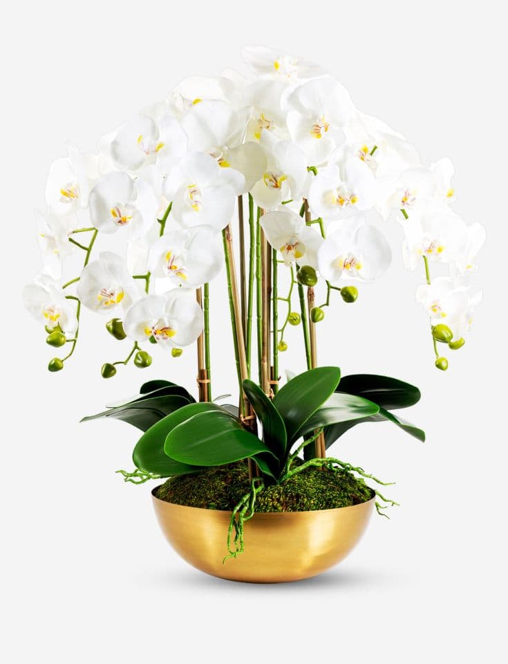 Silk Orchids timeless elegance for any decor